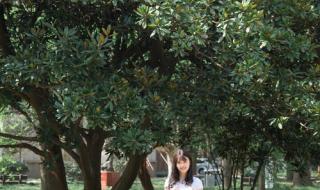 扬州大学农学院 扬州大学农学院