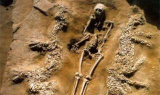 中华第一龙 中华第一龙